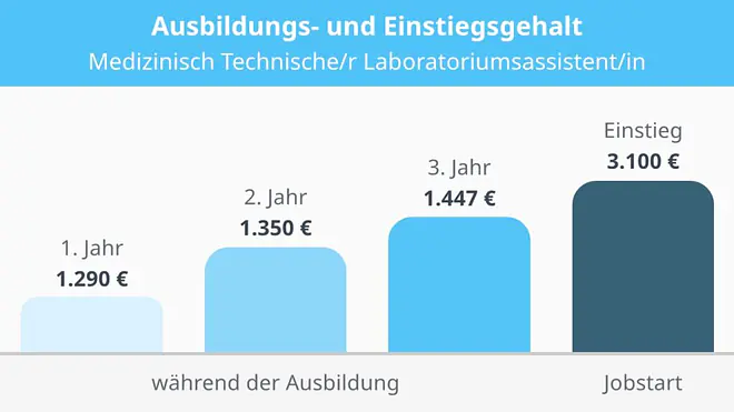 Das Balkendiagramm zeigt das Ausbildungsgehalt für Medizinisch Technische Laboratoriumsassistentinnen und -assistenten mit 1290 Euro im ersten, 1350 Euro im zweiten und 1447 Euro im dritten Jahr sowie ein Einstiegsgehalt von 3100 Euro zum Berufsstart.