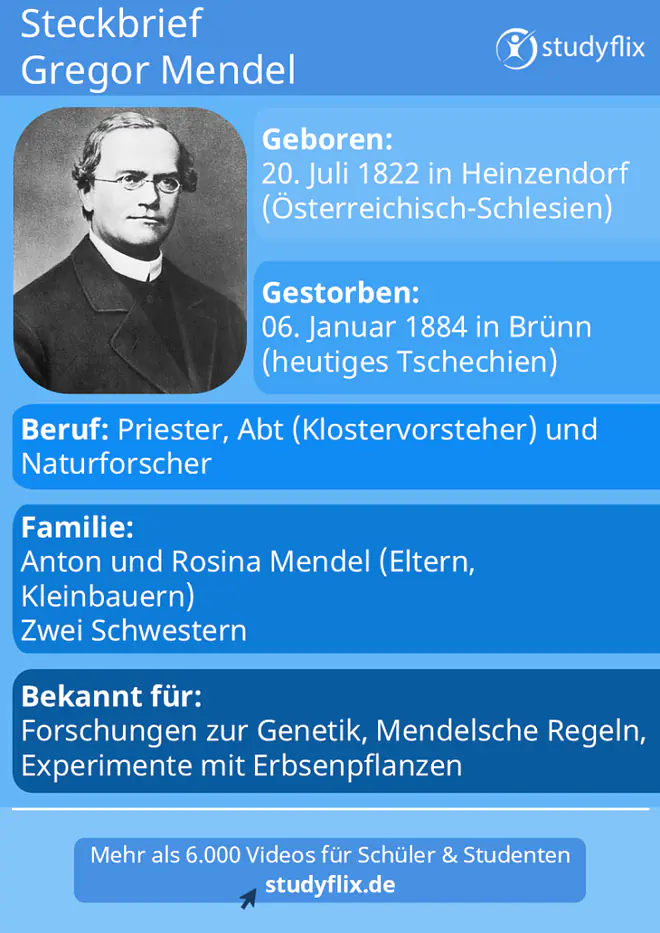 Das Bild zeigt den Steckbrief über Gregor Mendel. Er ist am 20. Juli 1822 in Heinzendorf in Österreich-Schlesien geboren und am 6. Januar 1884 in Brünn im heutigen Tschechien gestorben. Von Beruf war Mendel Priester, Abt und Naturforscher. Er hatte zwei Schwestern und seine Eltern hießen Anton und Rosina Mendel. Sie waren Kleinbauern. Bekannt ist Gregor Mendel für seine Forschungen zur Genetik, für seine Mendelschen Regeln und Experimente mit Erbsenpflanzen.
