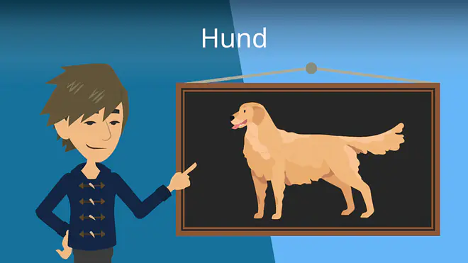 Zum Video: Hund