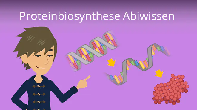 Zum Video: Proteinbiosynthese Abiwissen