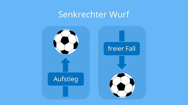 senkrechter wurf, senkrechter wurf Skizze, senkrechter Wurf Bild; Schaubild senkrechter Wurf