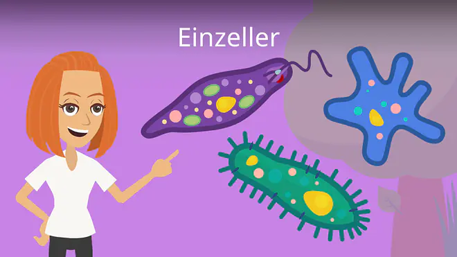 Zum Video: Einzeller