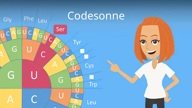 Zum Video: Codesonne