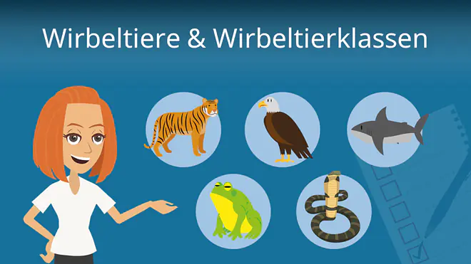 Zum Video: Wirbeltiere & Wirbeltierklassen