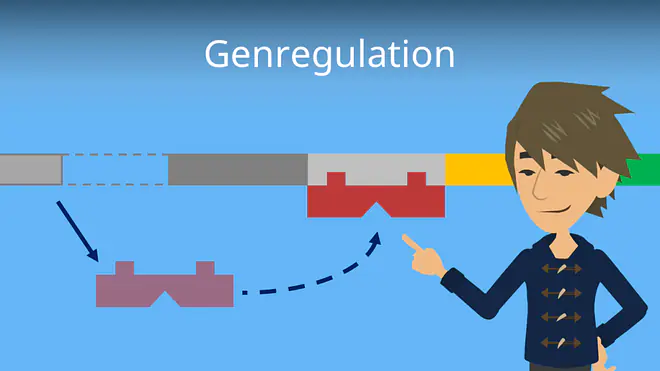 Zum Video: Genregulation