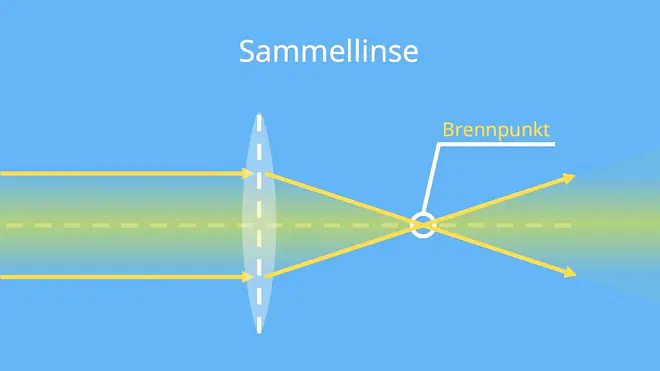 Sammellinse, Sammellinsen, Physik Sammellinse, Strahlengang Sammellinse