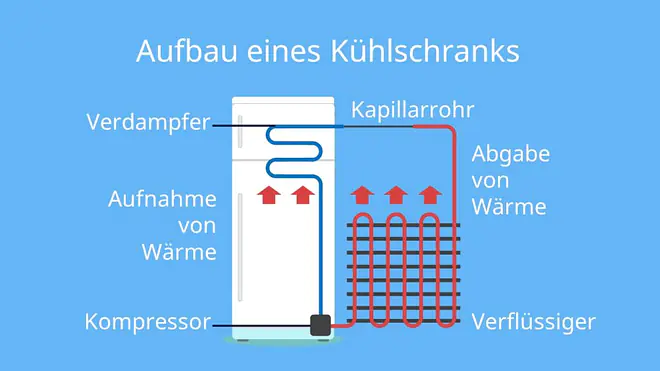 Wie funktioniert ein Kühlschrank mit Gas, wie funktioniert ein kühlschrank thermostat, wie funktioniert ein kühlschrank kurz zusammengefasst, kühlschrank funktionsweise, kühlschrank funktion, kühlschrank aufbau, funktionsweise kühlschrank, wie funktioniert kühlschrank, Kühlschrank, Kühlschrank mit Gefrierfach, Kühlschrank ohne Gefrierfach, kühlschrank temperatur, einbaukühlschrank mit gefrierfach