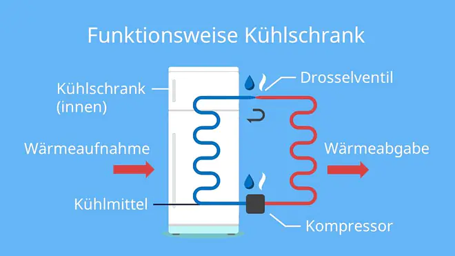 Wie funktioniert ein Kühlschrank mit Gas, wie funktioniert ein kühlschrank thermostat, wie funktioniert ein kühlschrank kurz zusammengefasst, kühlschrank funktionsweise, kühlschrank funktion, kühlschrank aufbau, funktionsweise kühlschrank, wie funktioniert kühlschrank, Kühlschrank, Kühlschrank mit Gefrierfach, Kühlschrank ohne Gefrierfach, kühlschrank temperatur, einbaukühlschrank mit gefrierfach