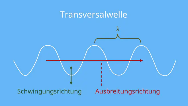 Transversalwellen; Transversalwellen Longitudinalwellen; Transversalwellen Beispiel