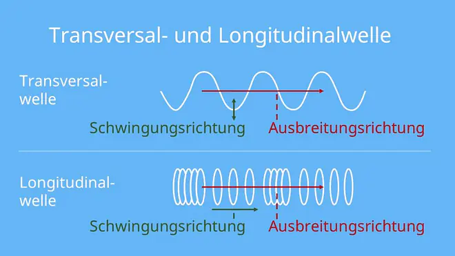 Transversalwellen; Transversalwellen Longitudinalwellen; Transversalwellen Beispiel