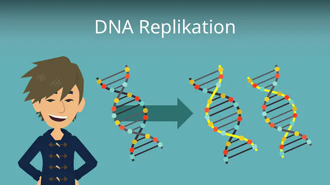 Zum Video: DNA Replikation