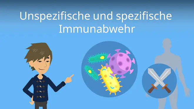 Zum Video: Unspezifische Immunabwehr und spezifische Immunabwehr