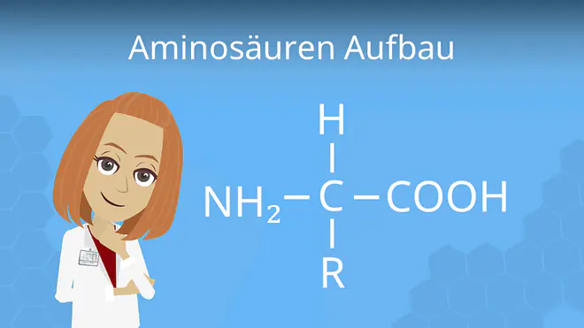 zum Video: Aminosäuren Aufbau