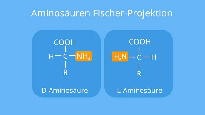 Aminosäuren Aufbau, Glycin Strukturformel, Strukturformel Aminosäure, Protein Chemie, Strukturformel Aminosäuren, Aufbau Aminosäuren, Aminosäuren Strukturen, Aminosäuren Struktur, Strukturformel Aminosäuren, Aminosäuren Proteine, Aminosäure Protein, Aminosäuren, Aminosäuren Einteilung