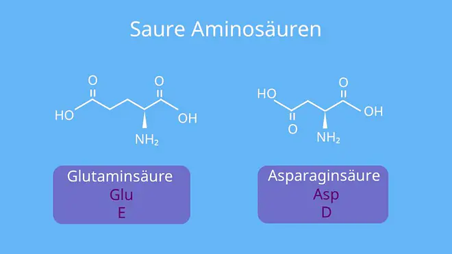 Aminosäuren Aufbau, Glycin Strukturformel, Strukturformel Aminosäure, Protein Chemie, Strukturformel Aminosäuren, Aufbau Aminosäuren, Aminosäuren Strukturen, Aminosäuren Struktur, Strukturformel Aminosäuren, Aminosäuren Proteine, Aminosäure Protein, Aminosäuren, einbuchstaben code aminosäure, grundstruktur Aminosäure, Aminosäuren Einteilung