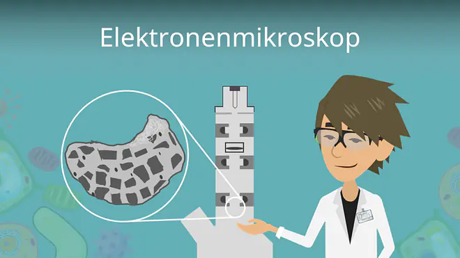Zum Video: Elektronenmikroskop