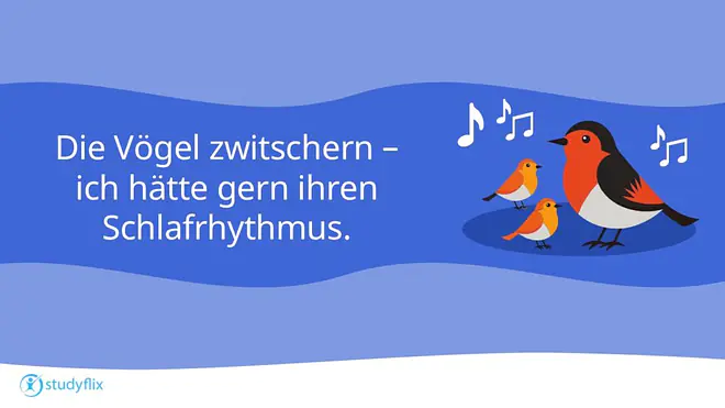 „Die Vögel zwitschern –- ich hätte gern ihren Schlafrhythmus.“
