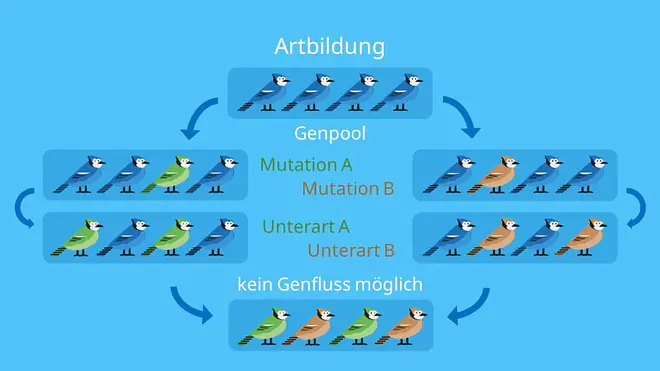 Artbildung, reproduktive Isolation, Art Biologie, Genfluss, Isolation, allopatrische Artbildung, Sympatrische Artbildung