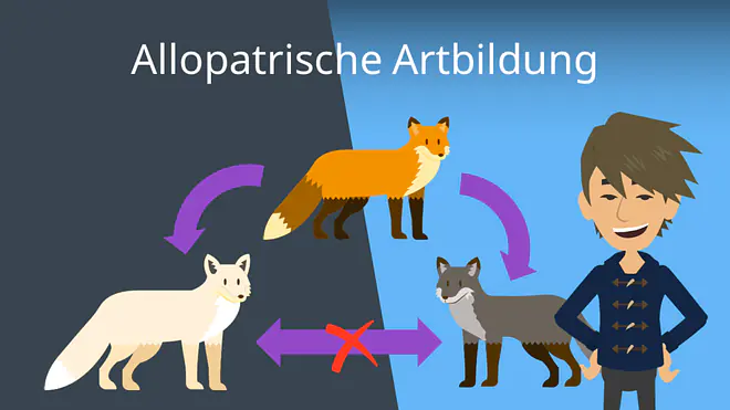 Zum Video: Allopatrische Artbildung