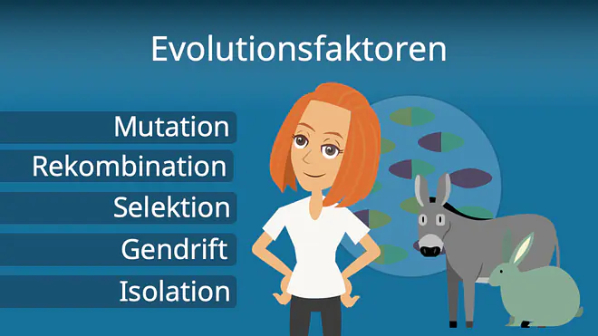 Zum Video: Evolutionsfaktoren