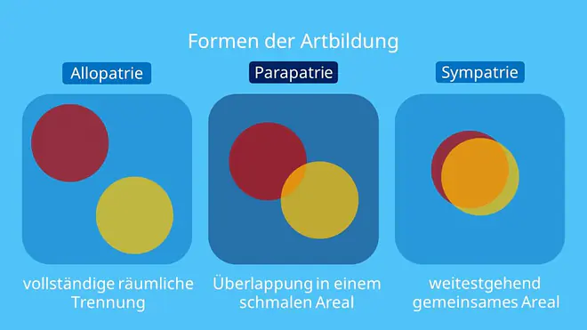 Formen der Artbildung, parapatrische Artbildung, Beispiel, Artbildung, Artentstehung, Art biologie, Evolution
