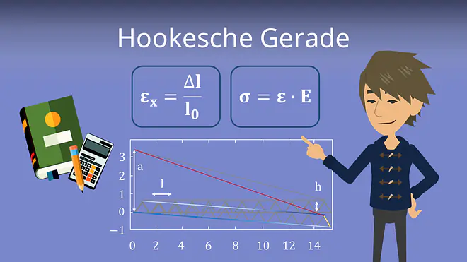 Zum Video: Hookesche Gerade