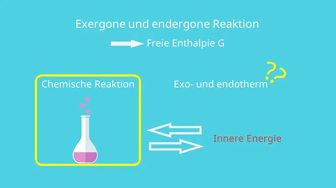 Exergon und Endergon