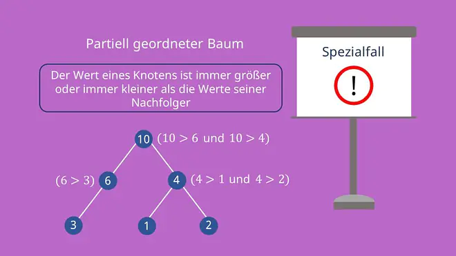 Partiell geordneter Baum, Binäre Bäume Arten