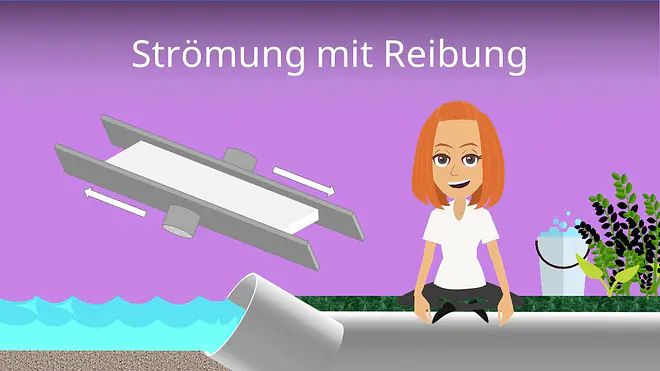 Zum Video: Strömung mit Reibung