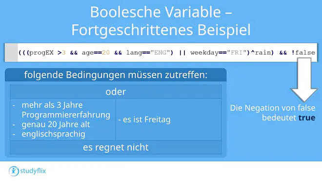 Das Bild zeigt einen Code, der viele Boolesche Variablen enthält. Darunter größer als, ist gleich, und true und eine Negation.