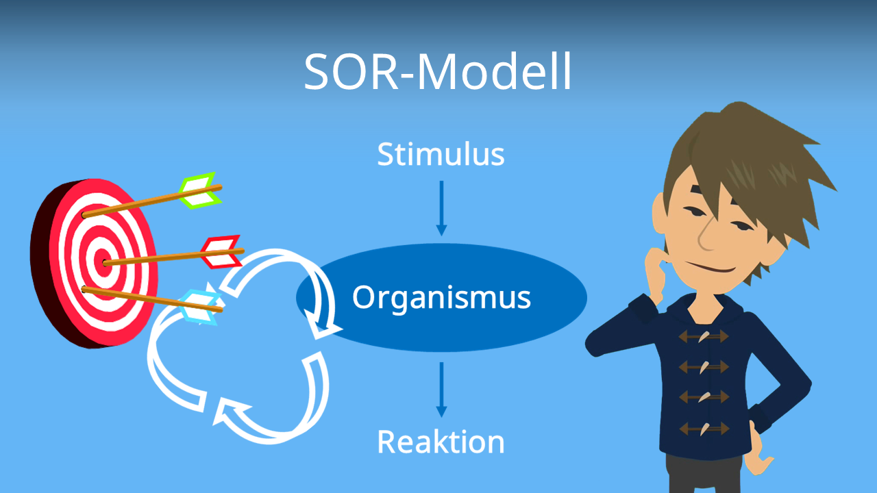 SOR-Modell : Definition, Erklärung und Beispiel · [mit Video]