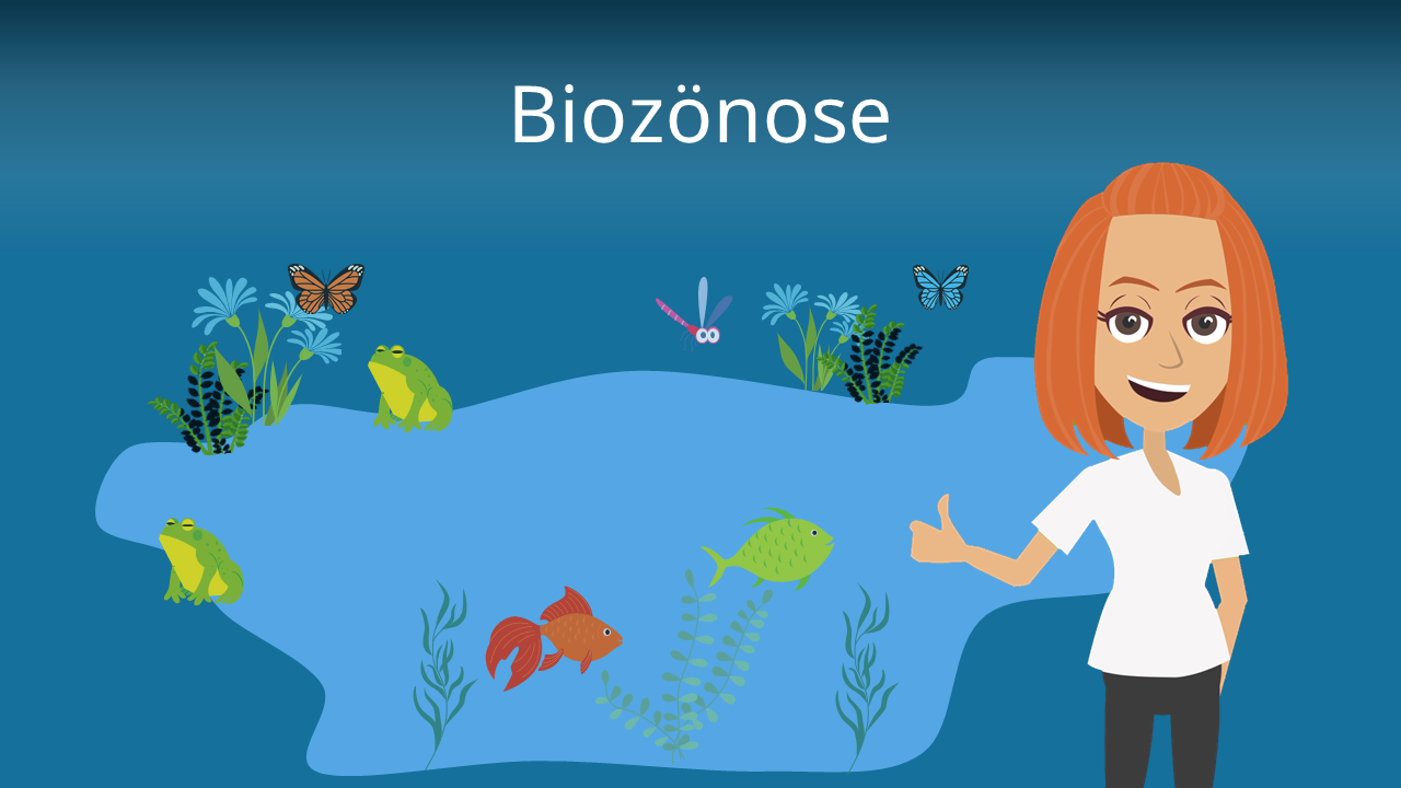 bioz-nose-definiton-beispiel-und-kologie-mit-video