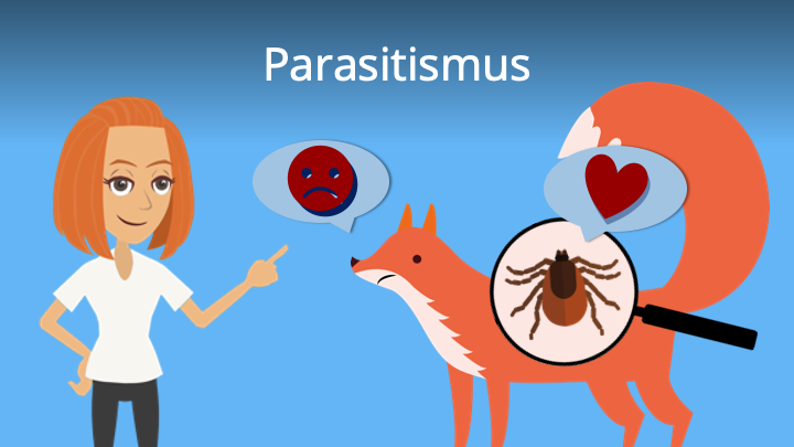 Parasitismus • Definition, Beispiele und Parasiten · [mit Video]