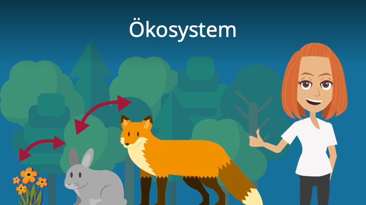 kosystem