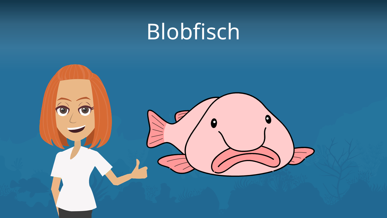 Blobfisch • einfach erklärt, mit Steckbrief · [mit Video]