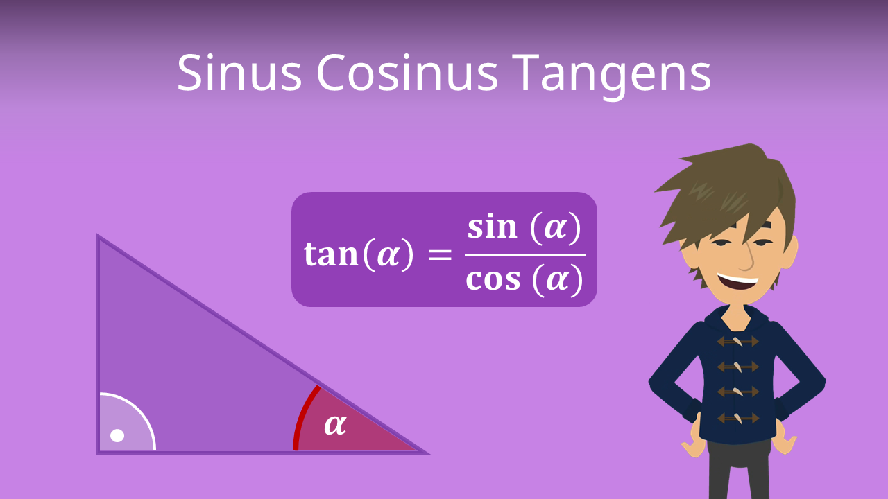 Sinus Cosinus Tangens Erklärung Einfach studyflix.de