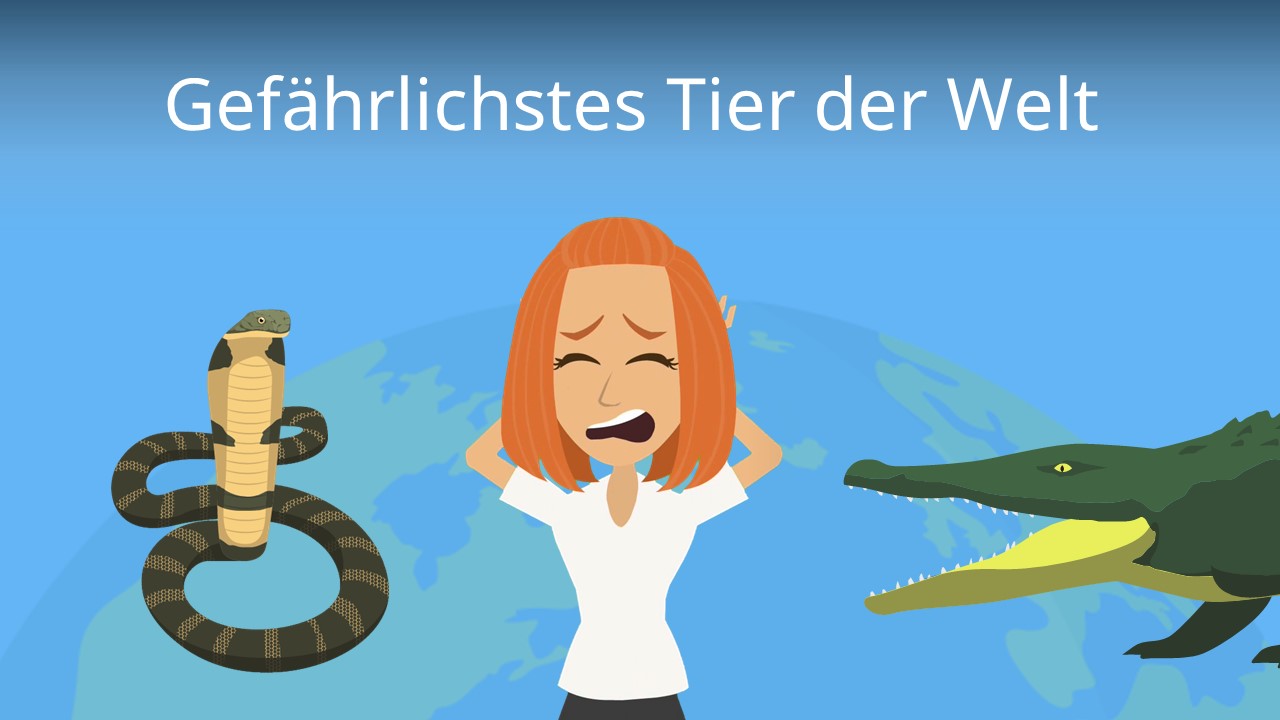 Was Ist Das Gefährlichste Tier Der Welt studyflix.de