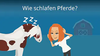 Wie schlafen Pferde?