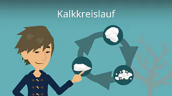 Kalkkreislauf