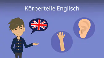 Körperteile Englisch