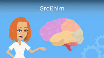 Großhirn