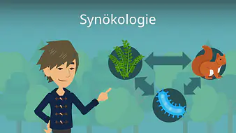 Synökologie