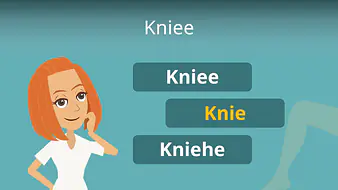 Kniee
