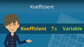 Koeffizient