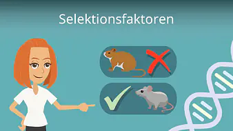 Selektionsfaktoren
