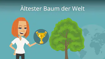 Ältester Baum der Welt