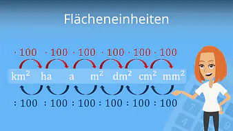 Flächeneinheiten