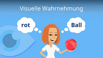 Visuelle Wahrnehmung
