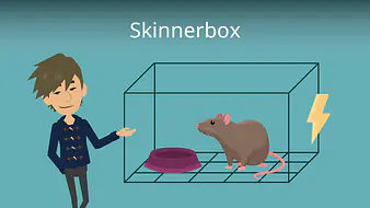Skinnerbox