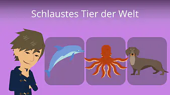 Schlaustes Tier der Welt